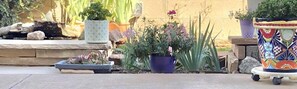 Property grounds - Pet Angel Inn - Pet Friendly Private Room with golf corse view in Santa Fe, NM (Santa Fe)