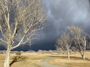 Unclassified image, 3 of 13, button