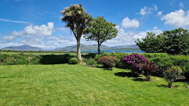 A well-maintained grassy field with a prominent tree and various shrubs, set against a backdrop of mountains and a clear sky. - Kate's Cottage (Valentia Island)
