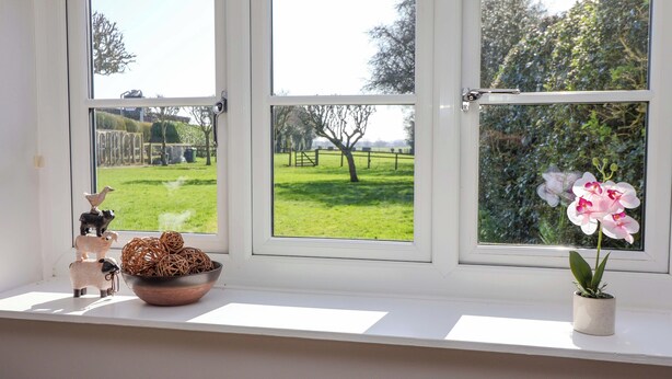A window with three panes, a bowl of decorative items, and a potted orchid on the windowsill. - Cartwheel Cottage (York)