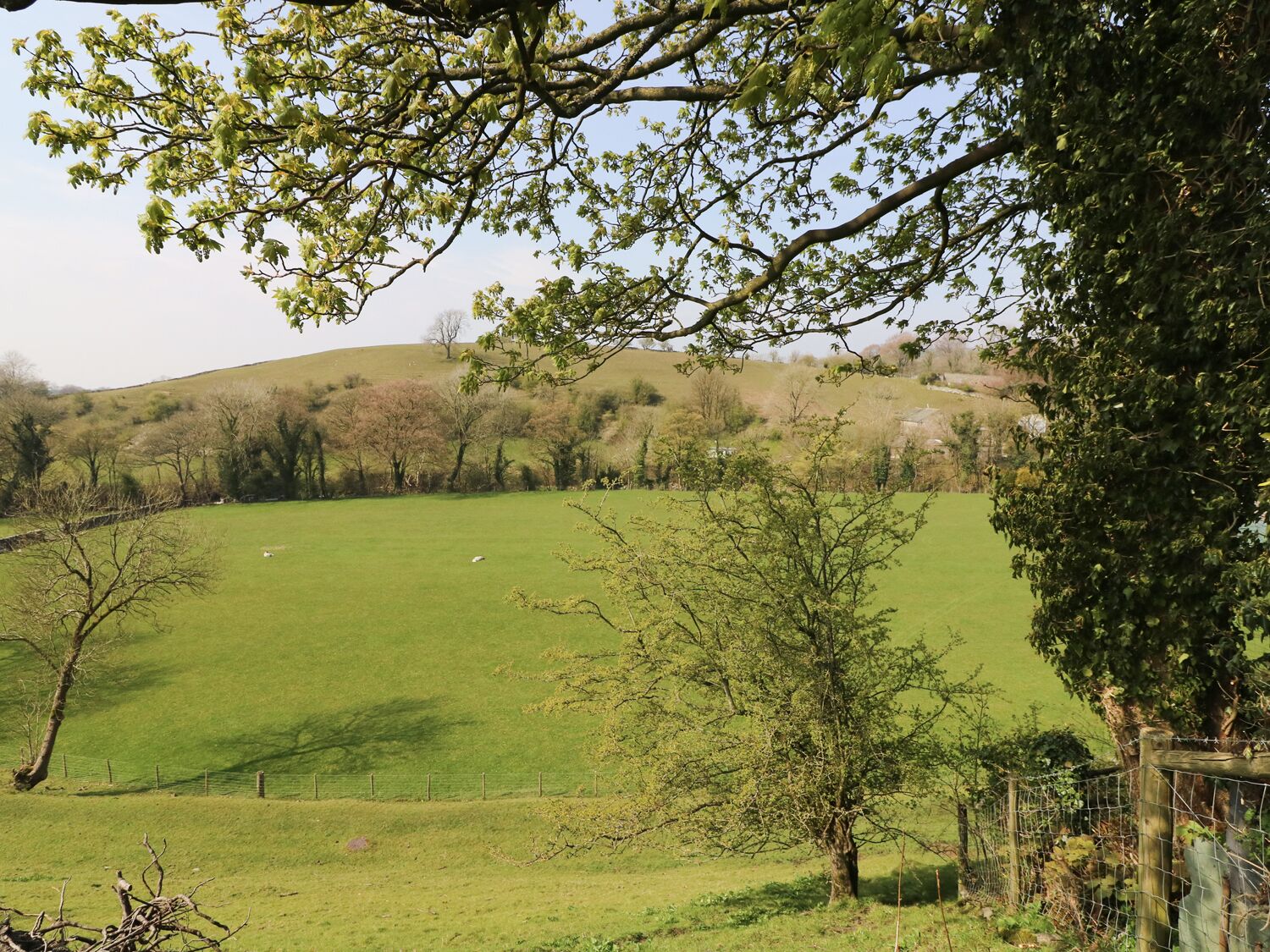 A rural landscape with a fenced field, trees, and a hill in the background.