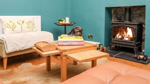 Une pièce chaleureuse avec un mur de couleur turquoise, un canapé en bois, une petite table avec des livres, une cheminée et un tapis en fourrure.