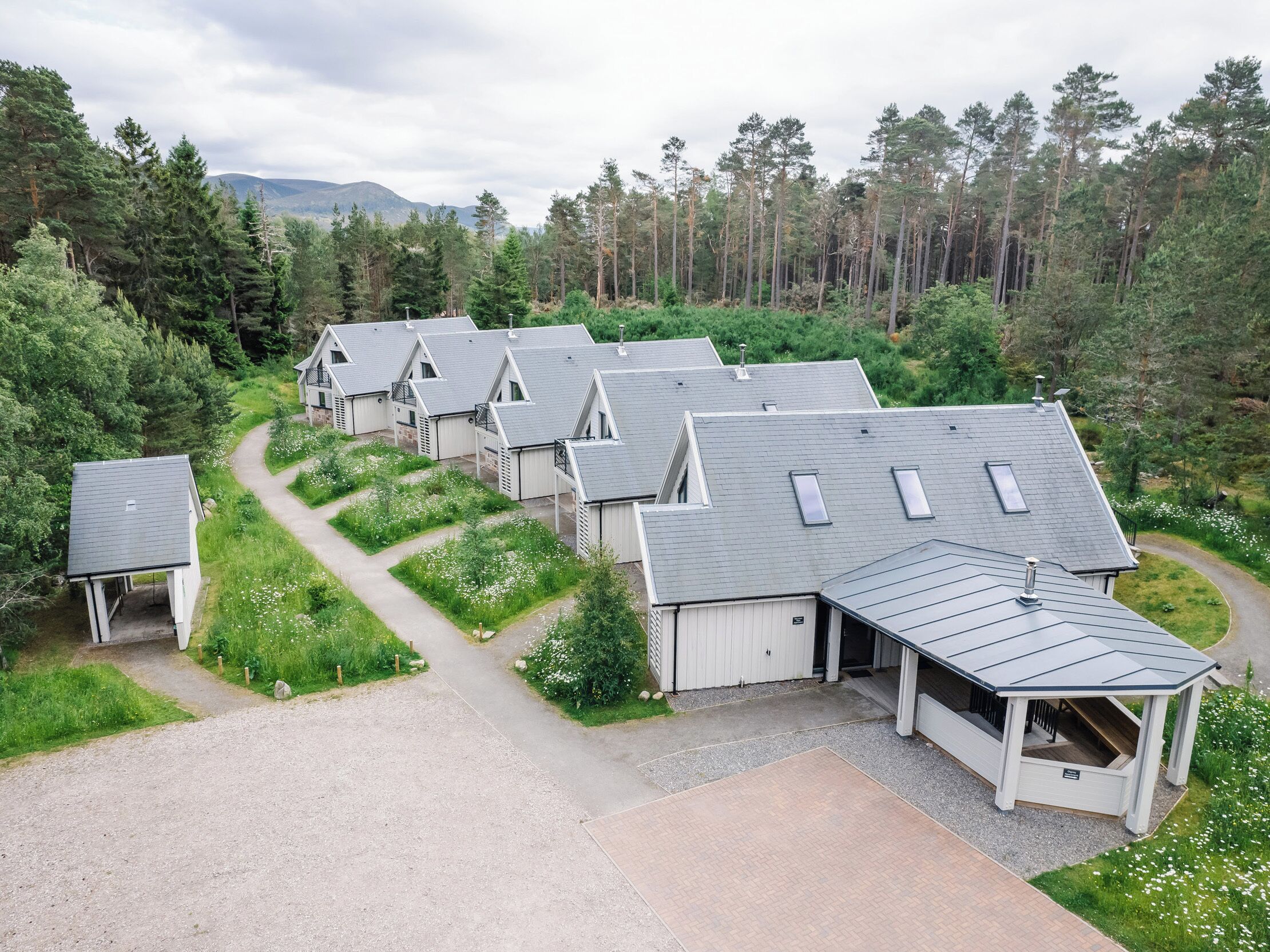 A row of cabins with sloped roofs and skylights, surrounded by a forested area with a gravel path leading to them.