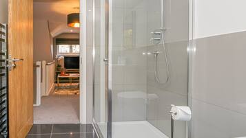 A modern bathroom with a glass shower enclosure, a toilet, and a sink.