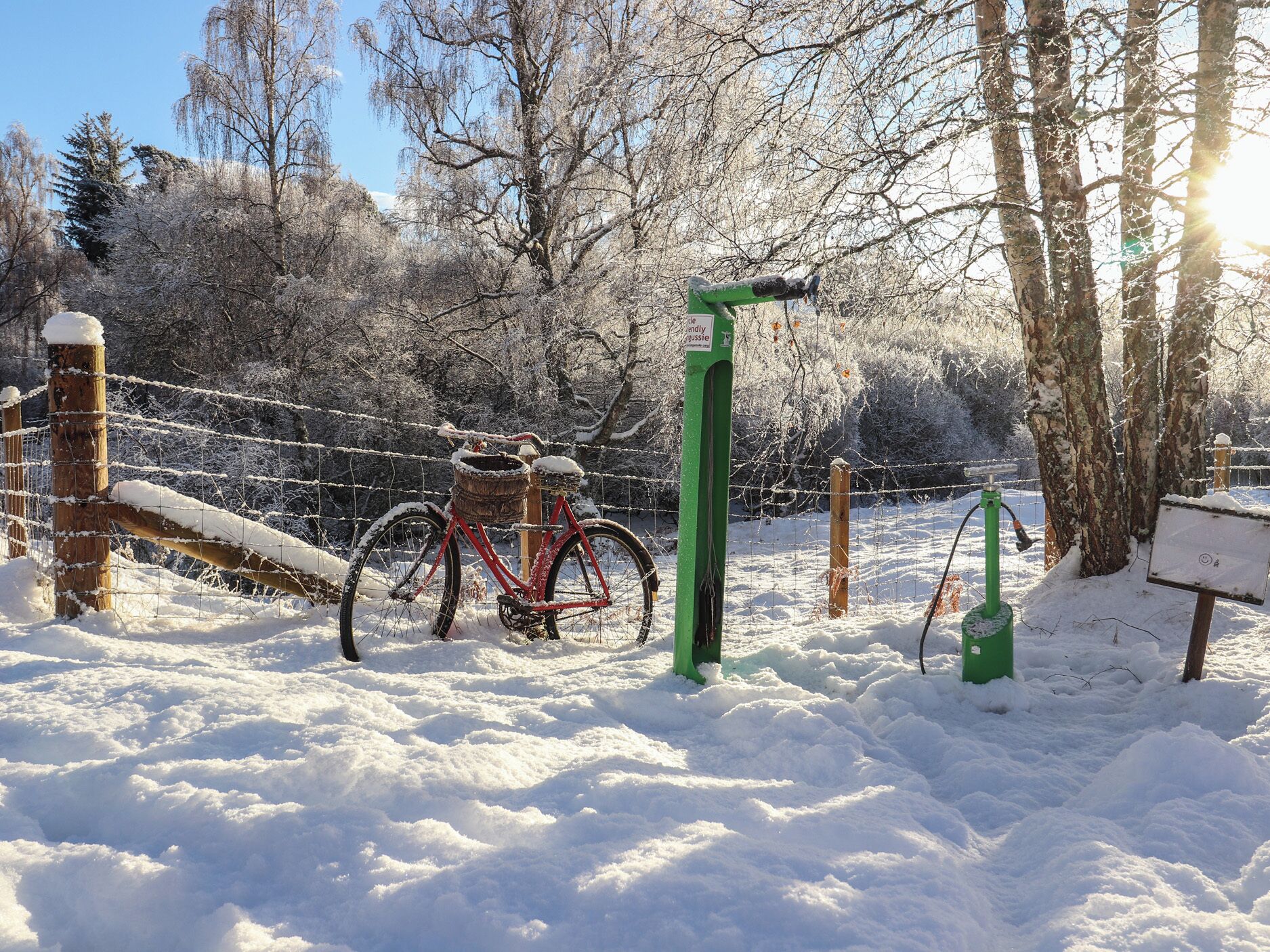 Snø- og skisport
