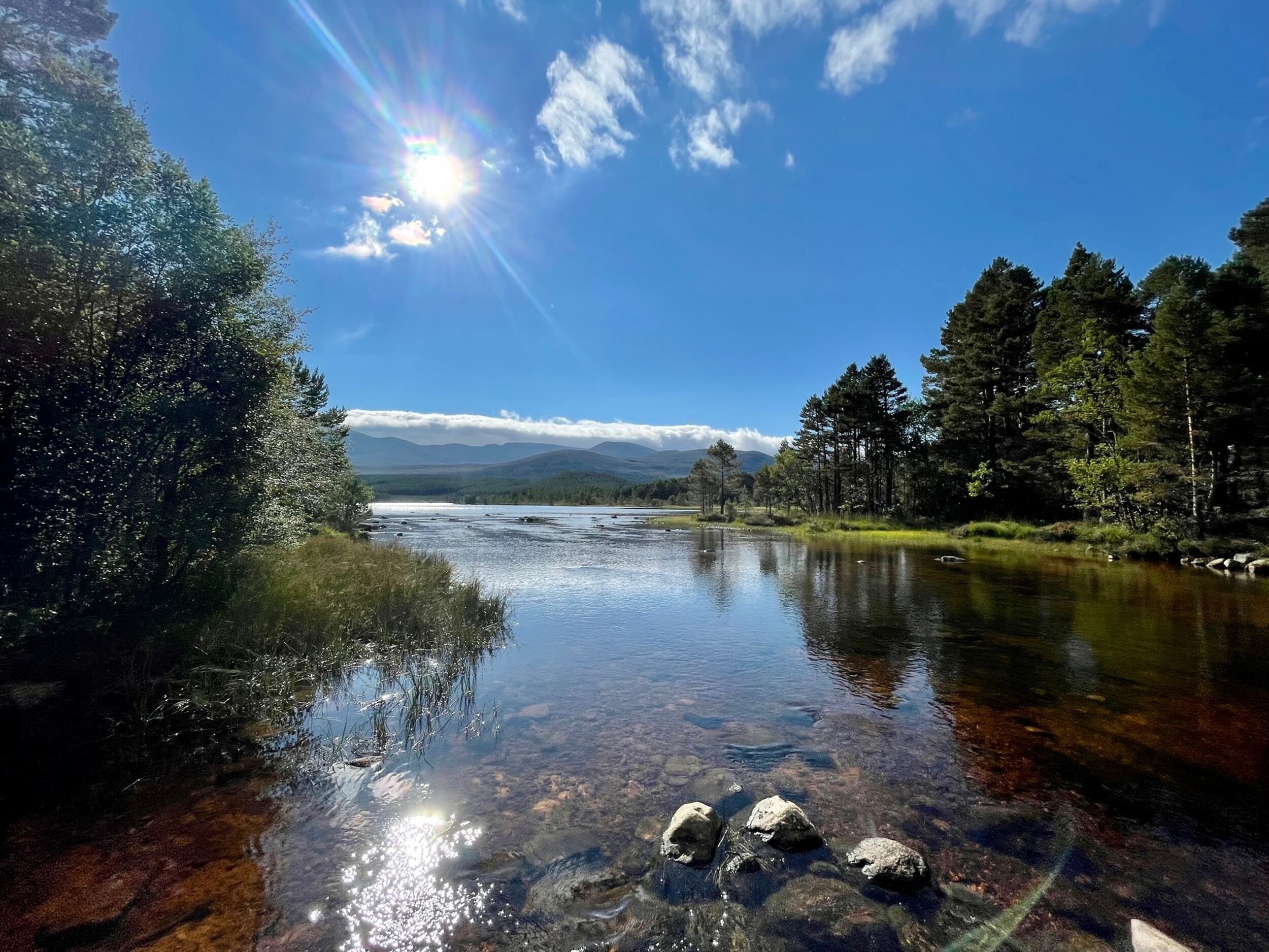 A clear river with visible rocks and trees on both sides.
