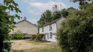 A residential property with a grassy yard, a white house with a gabled roof, and a neighboring building. - Panteg, Cardigan (Cardigan)