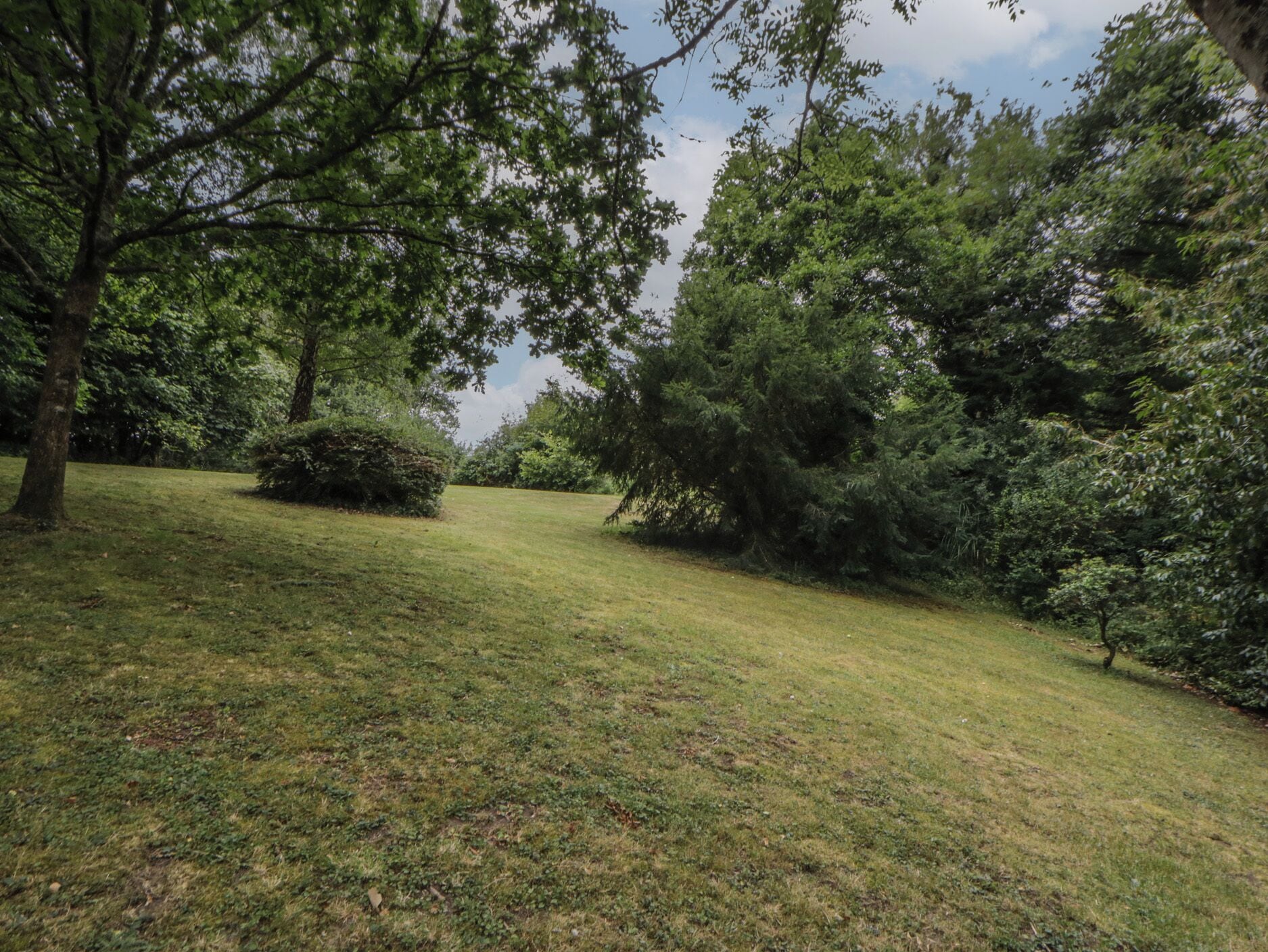 A grassy area with trees and shrubs.