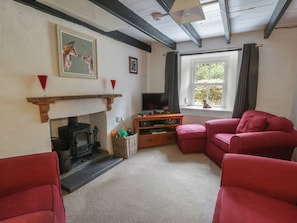 A living room with a fireplace, red sofas, a television, and a window with curtains. - Panteg, Cardigan (Cardigan)