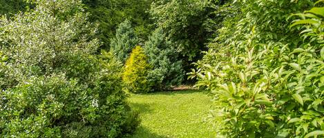 Cottage | Property grounds