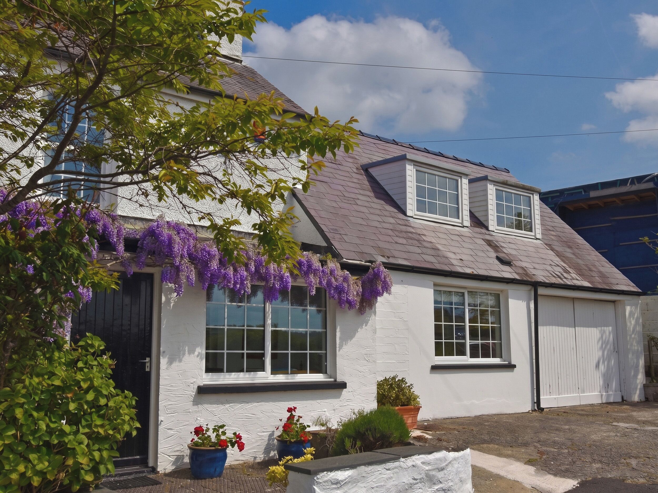 A white building with a gabled roof, two windows, and purple flowering vines.