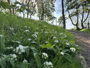 Cottage | Enceinte de l’hébergement