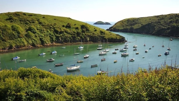 A coastal bay with numerous boats anchored in calm waters, surrounded by lush green hills. - Panteurig Farmhouse (Goodwick)