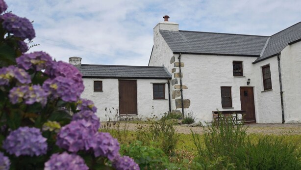 A white building with stone accents, a chimney, and a small garden with purple flowers. - Panteurig Cottage (Goodwick)