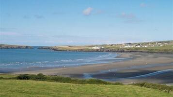 A coastal landscape with a sandy beach, grassy fields, and a distant view of houses along the shore.