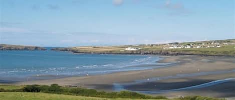 A coastal landscape with a sandy beach, grassy fields, and a distant view of houses along the shore.