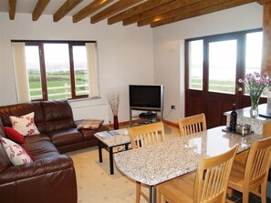 Una sala de estar con un sofá de cuero marrón, una mesita y un televisor. Se ven campos verdes a través de las ventanas.