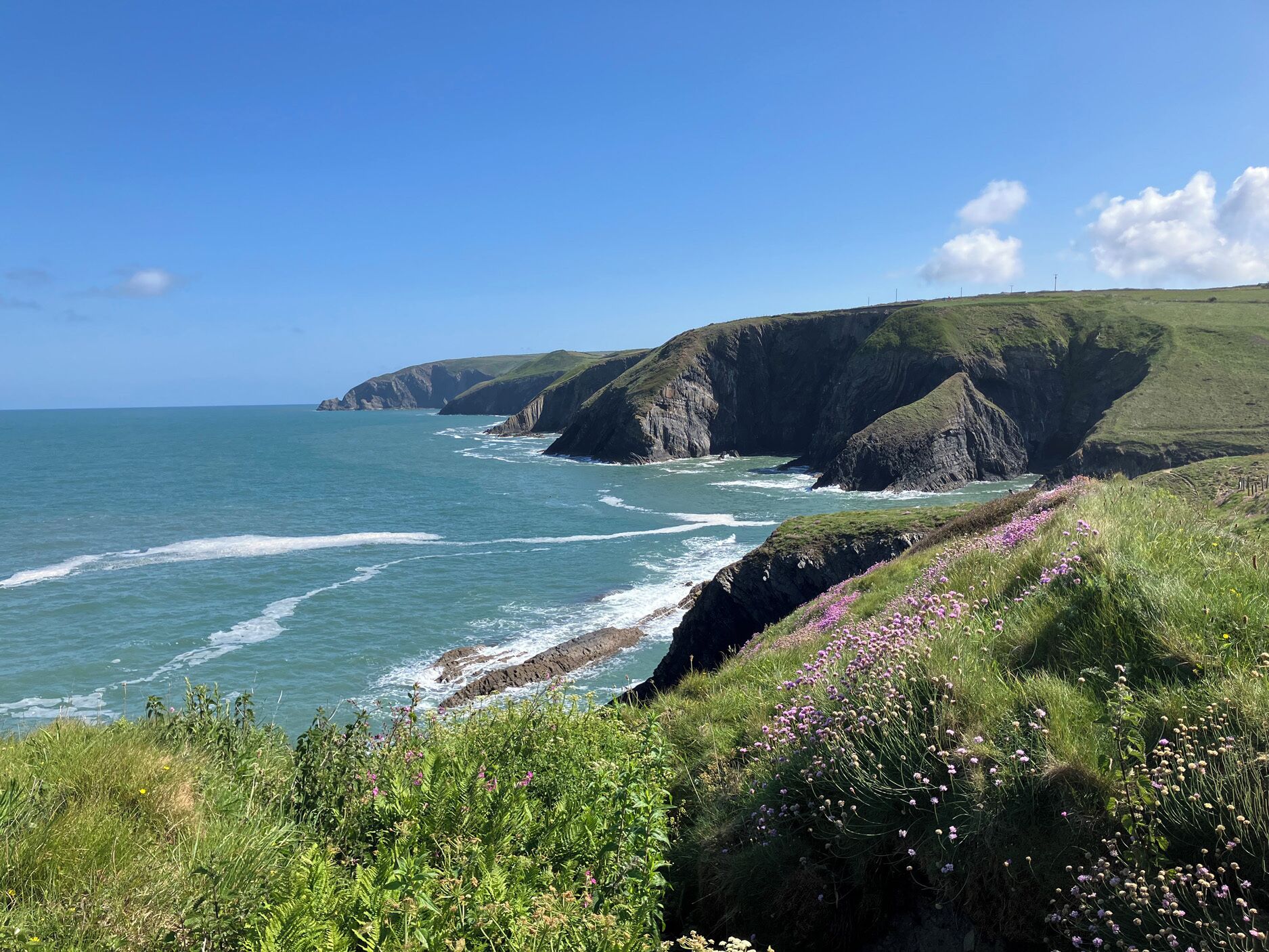 A coastal landscape with cliffs, a sea view, and wildflowers.