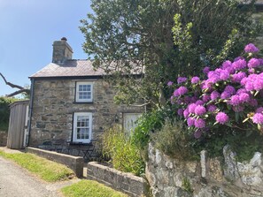 Una casa de piedra con dos ventanas, una chimenea y un jardín lleno de flores rosadas.