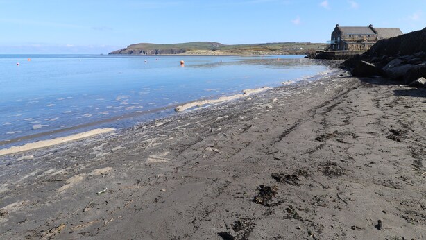 A beach with a rocky shoreline, a building with a blue roof, and a clear sky. - Middle Cottage (Newport)
