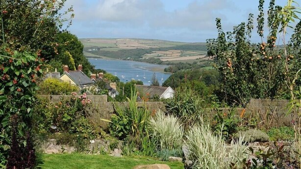 A garden with a variety of plants and a view of a coastal area with boats. - Gellifor (Cardigan)