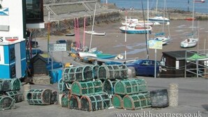 A coastal marina with boats docked and a building with a sign reading "BOOK HERE". - Pond Cottage (Llandysul)