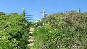 A narrow, stone-paved path leading to a metal gate with a blue sky in the background. - The Old Farmhouse Kitchen (Haverfordwest)