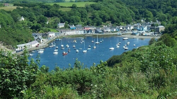 A coastal town with a marina filled with boats, surrounded by lush greenery and hills in the background. - Cwmbrandy Cottage (Fishguard)