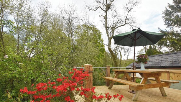 Une terrasse en bois avec une table de pique-nique et un parasol, entourée de verdure et d’arbres.