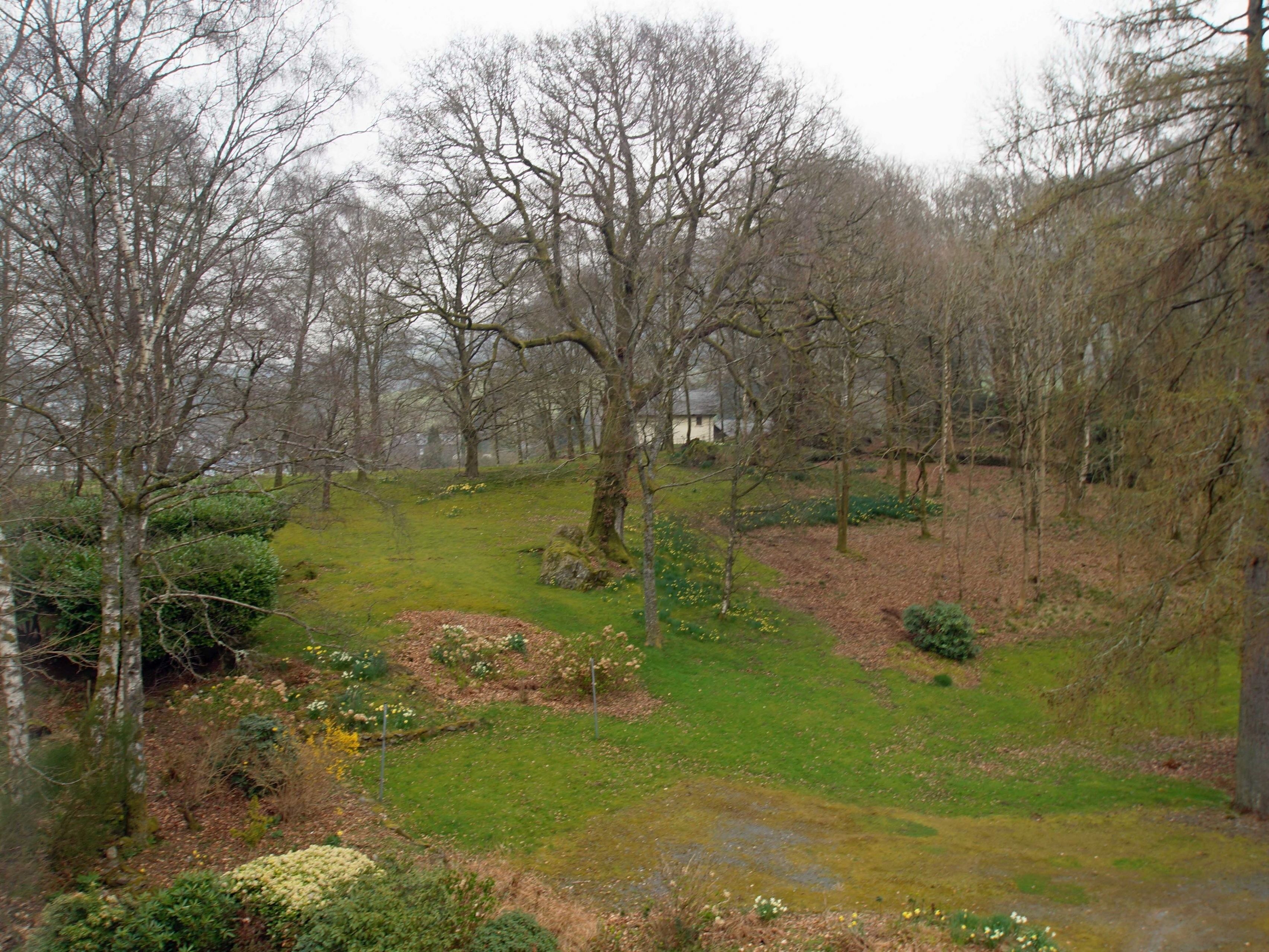 A park with trees, grass, and a pond.