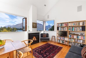 TV, fireplace, books