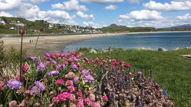 Un paisaje costero con una playa, un primer plano con césped y flores, y casas al fondo.