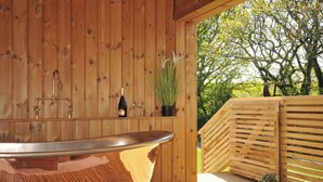 Eine Holzhütte mit Badewanne, einer Weinflasche und einem Blumentopf.