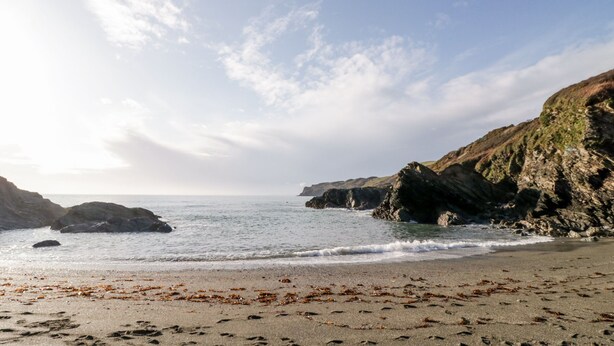 A beach with rocky cliffs and seaweed on the sand. - 3 Rose Cottages (Looe)