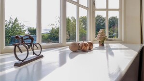 A room with large windows, a bicycle, and decorative pumpkins. - Weavers Cottage (Middlesbrough)