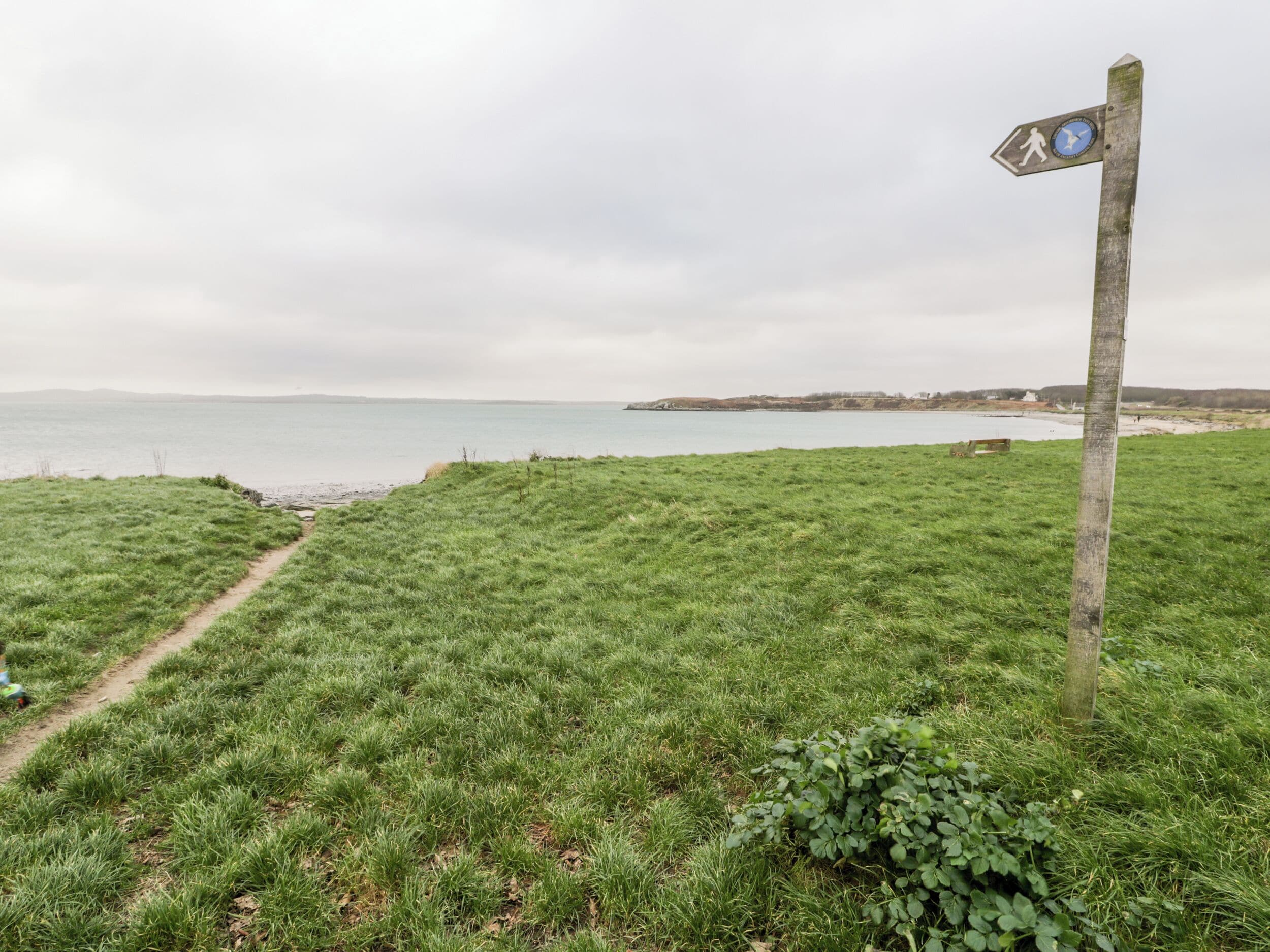 Eine grüne Wiese mit einem hölzernen Wegweiser und einem Pfad, der zum Meer führt.