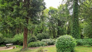 Ein üppiger Garten mit verschiedenen Bäumen und Sträuchern, einem gepflasterten Weg und einer Sitzgruppe mit Tisch und Stühlen.