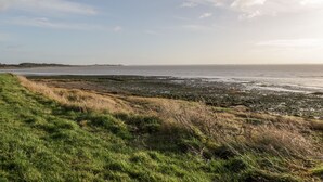 Paisaje costero con terreno cubierto de hierba y vista al mar.