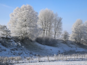 Een besneeerd landschap met bomen en een hek.