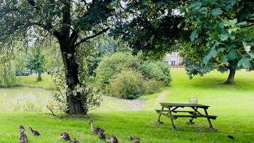 Cottage | Property grounds