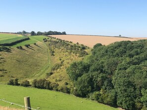 Paesaggio rurale con dolci colline, campi e una fitta area boschiva.