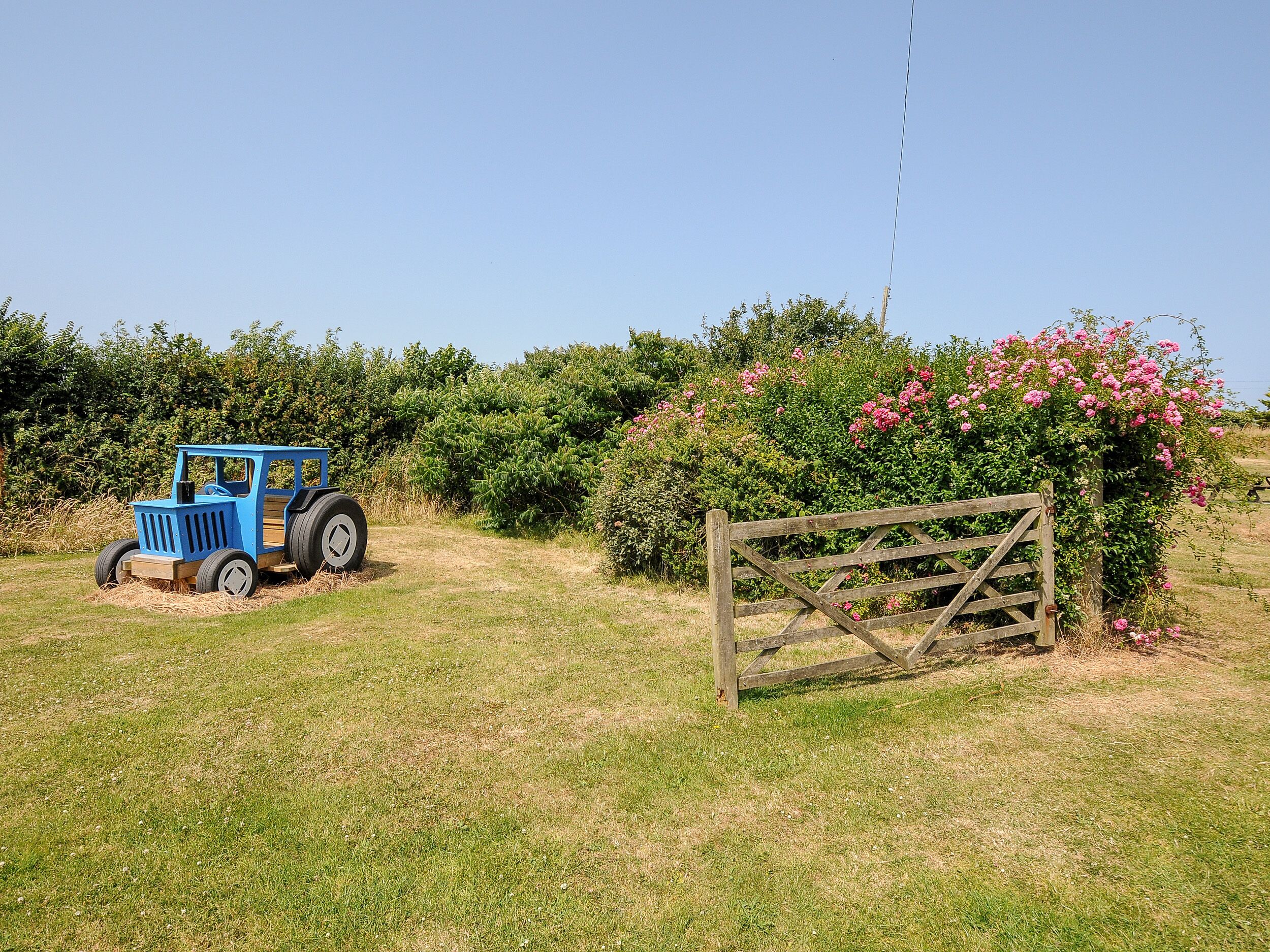 A blue toy tractor on a grassy field with a wooden gate and flowering bushes.