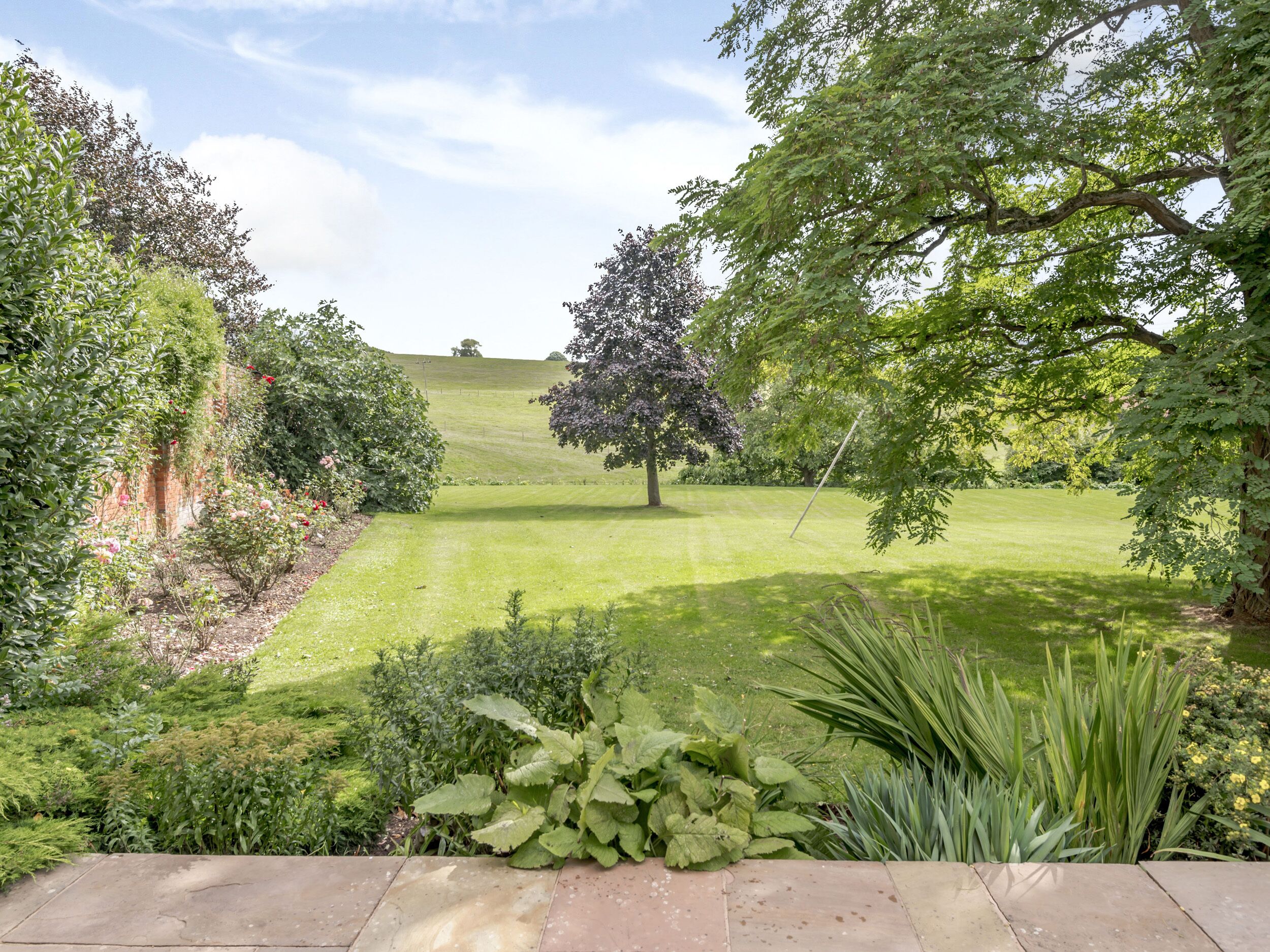 A well-maintained garden with a variety of plants and a lawn.
