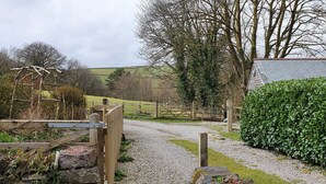 A rural pathway leading to a wooden gate, surrounded by trees and a hedge. - Mimi's Cottage (Liskeard)