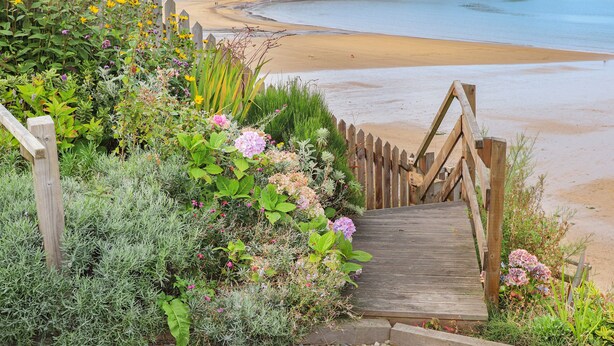 Een houten trap die naar een strand leidt, met een houten hek en diverse planten.
