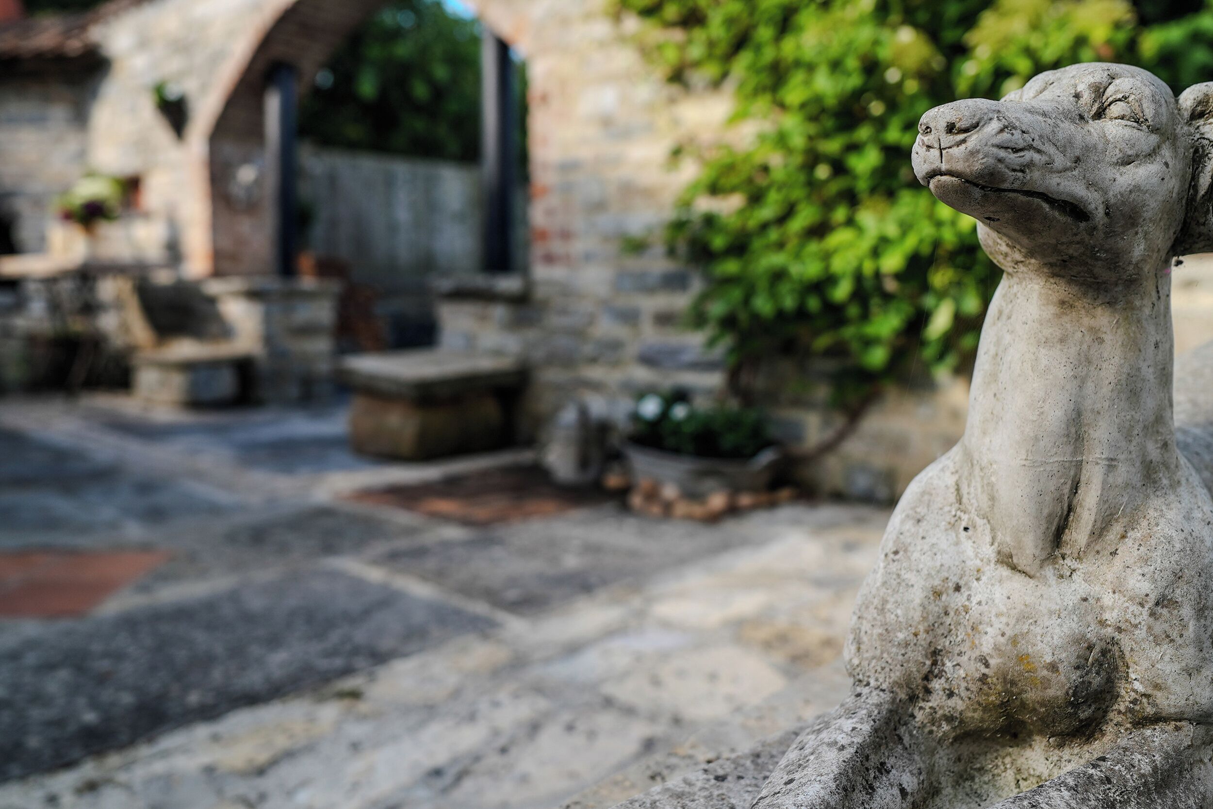 Khuôn viên nơi lưu trú