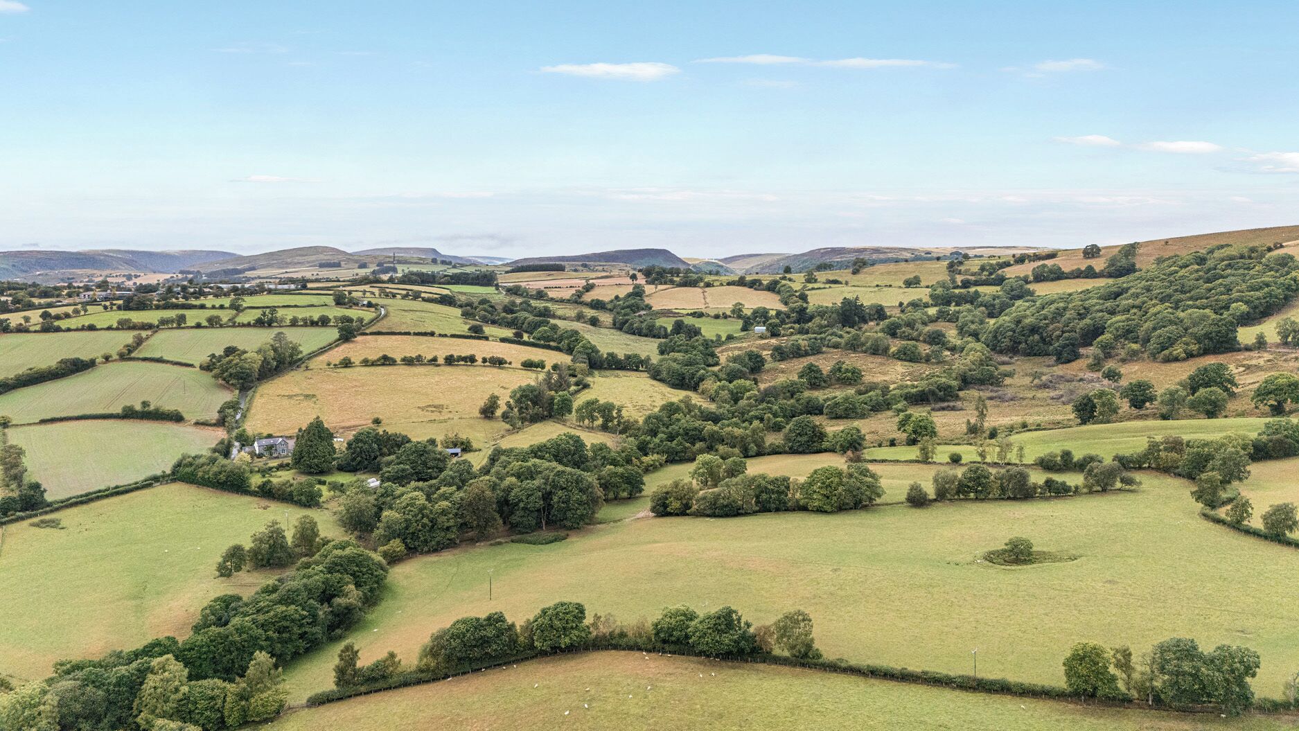 A rural landscape with rolling hills, fields, and scattered trees.