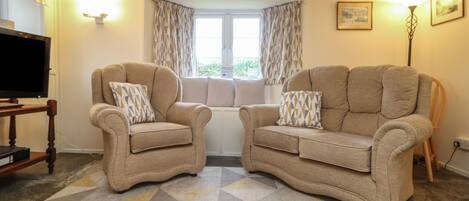 A living room with two beige armchairs, a television, and a patterned rug.