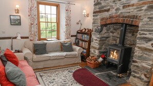 Una sala acogedora con chimenea de piedra, un sofá, una estantería y un ventanal con cortinas.