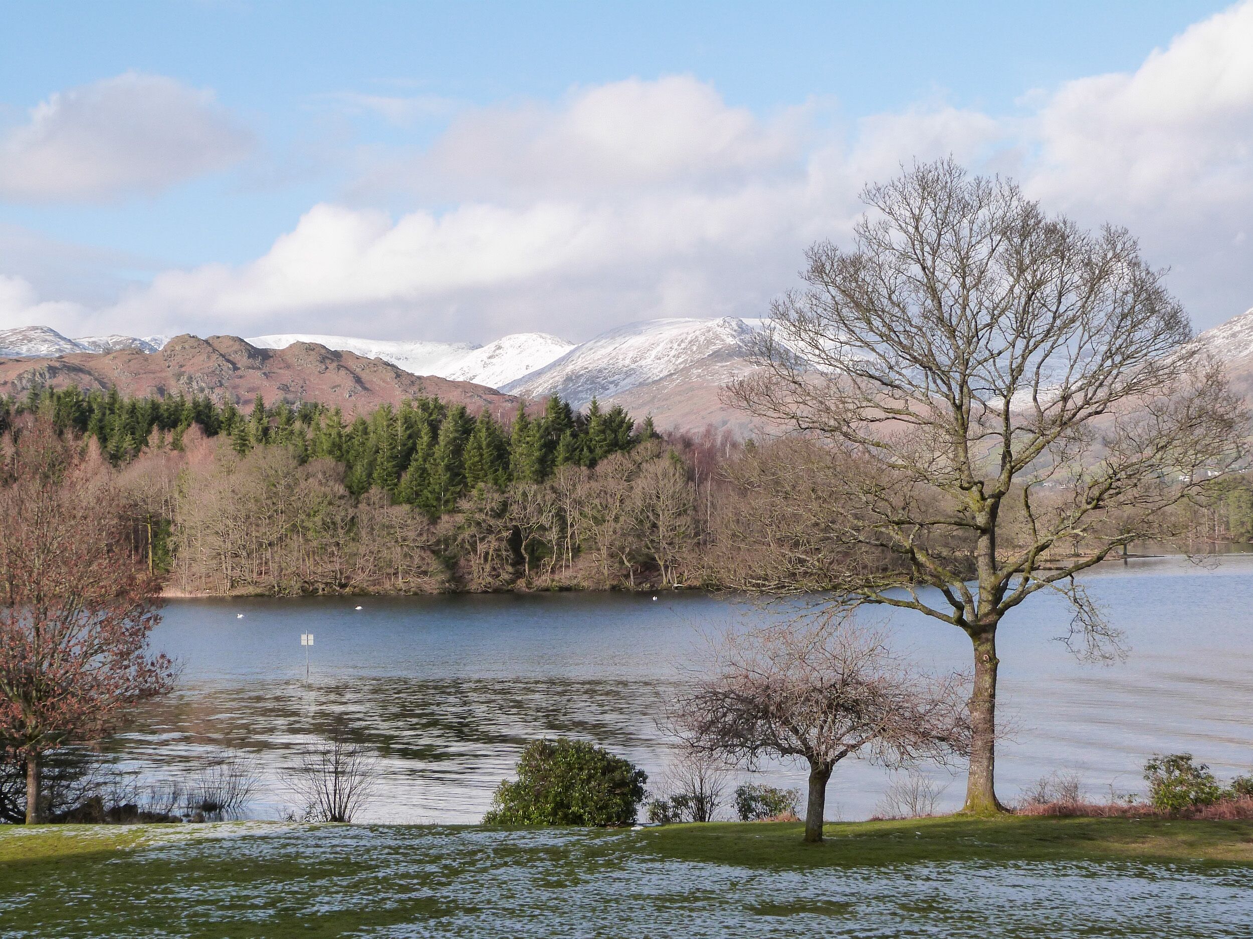 A lake with mountains in the background, a tree in the foreground, and a clear sky.